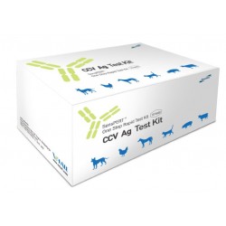 Test rapide du Corona virus sur le chien CCoV. ...