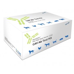 Test rapide de l'Adenovirus CAV sur les chiens....