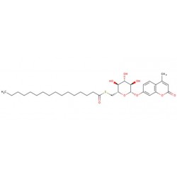 4-Méthylumbelliferyl 6-thio-palmitate-b-D-glyco...